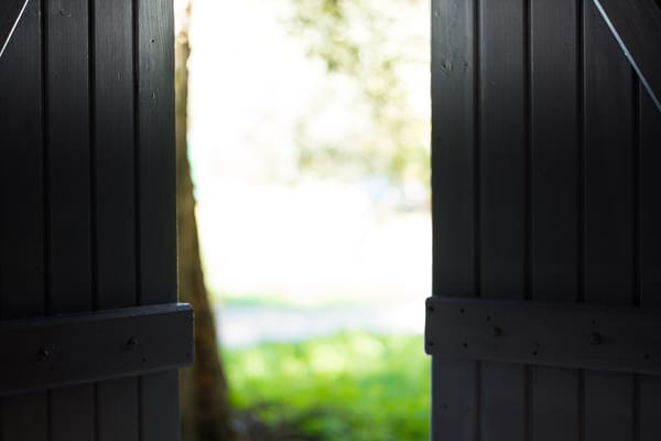 Two black doors opening out onto a garden. 